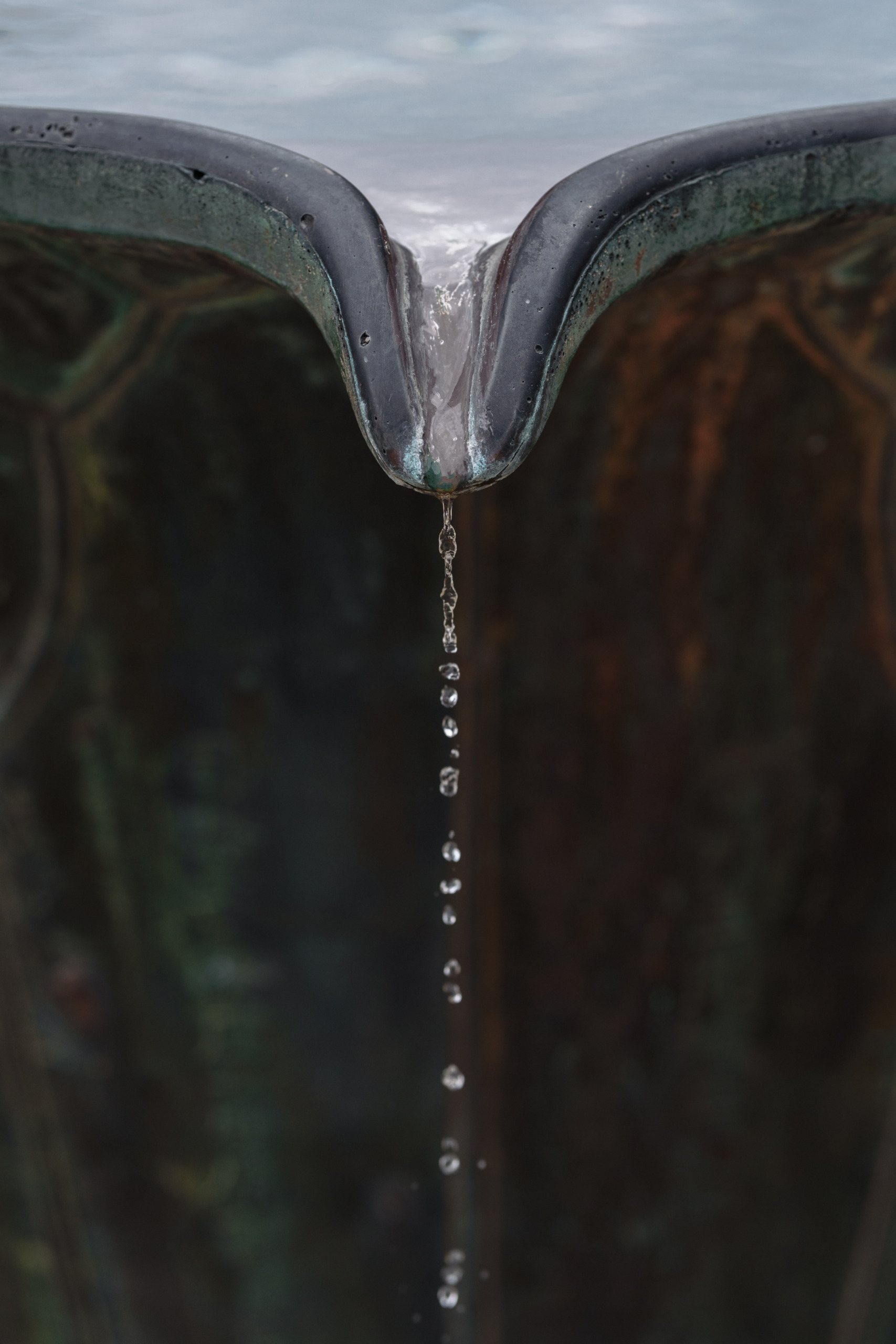 陰
